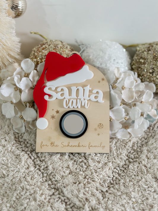 Santa cam